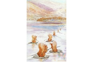 Почтовая открытка: The World of Peter Rabbit - 36