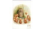 Почтовая открытка: The World of Peter Rabbit - 37