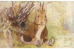 Почтовая открытка: The World of Peter Rabbit - 43