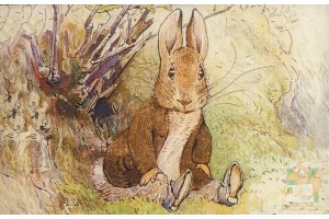 Почтовая открытка: The World of Peter Rabbit - 43