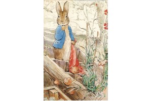 Почтовая открытка: The World of Peter Rabbit - 45
