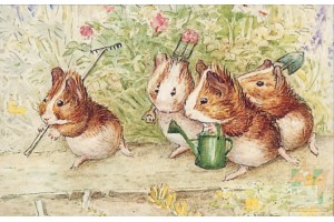 Почтовая открытка: The World of Peter Rabbit - 72