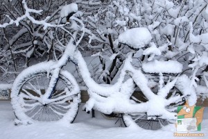 Открытка: Велик в снегу