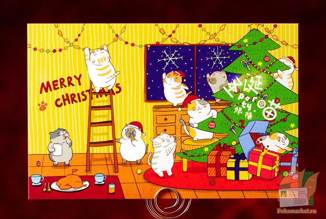 cats postcard
