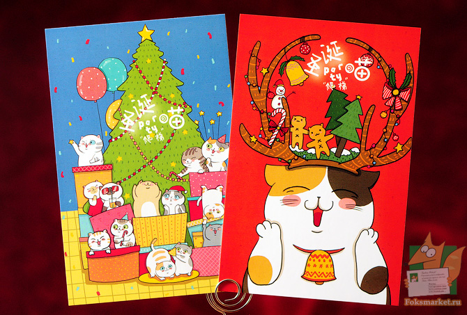 cats postcard