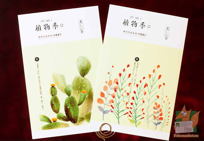 pook наборы открыток