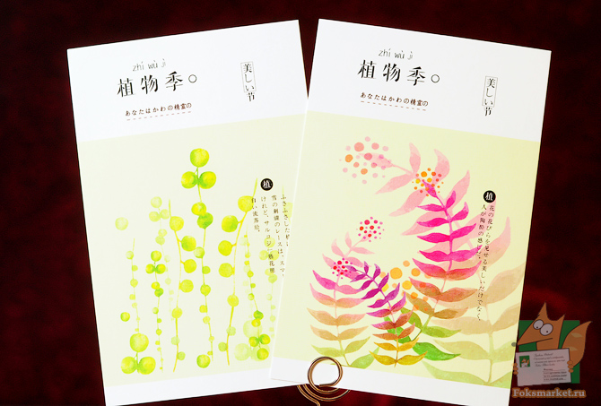 pook наборы открыток