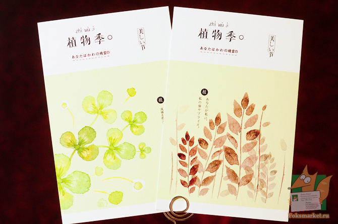 pook наборы открыток