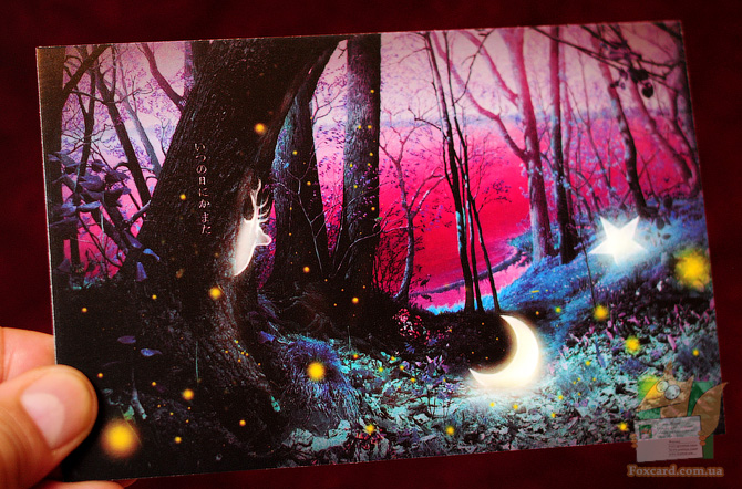 Набор почтовых открыток Волшебный лес