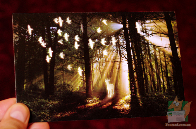 Набор почтовых открыток Волшебный лес