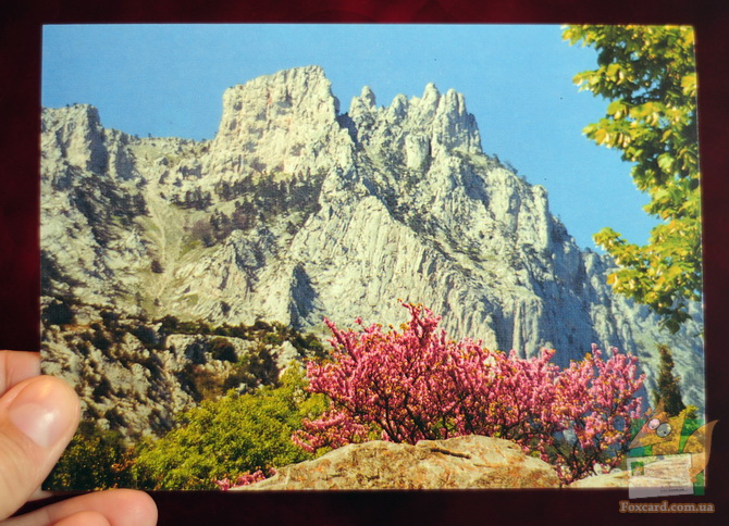 Открытка: Ай Петри